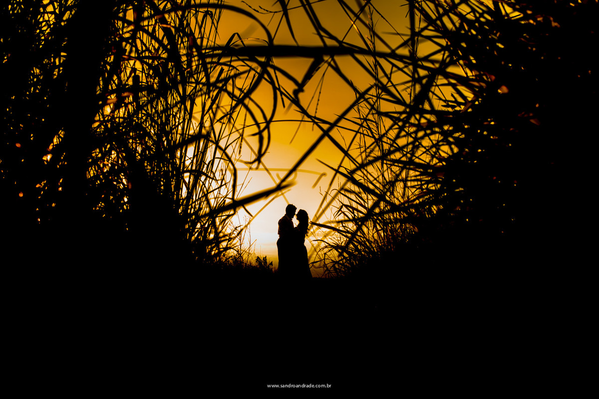 Fotografia criativa dos noivos, silhueta