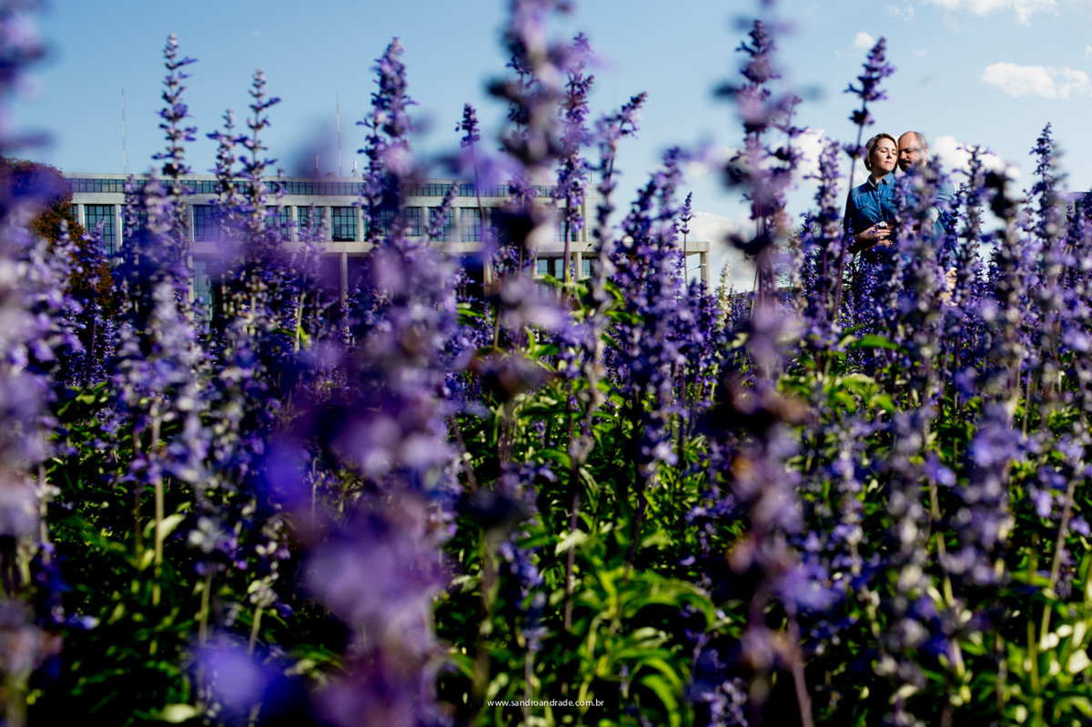 Linda fotografia deste querido casal, ensaio romântico.