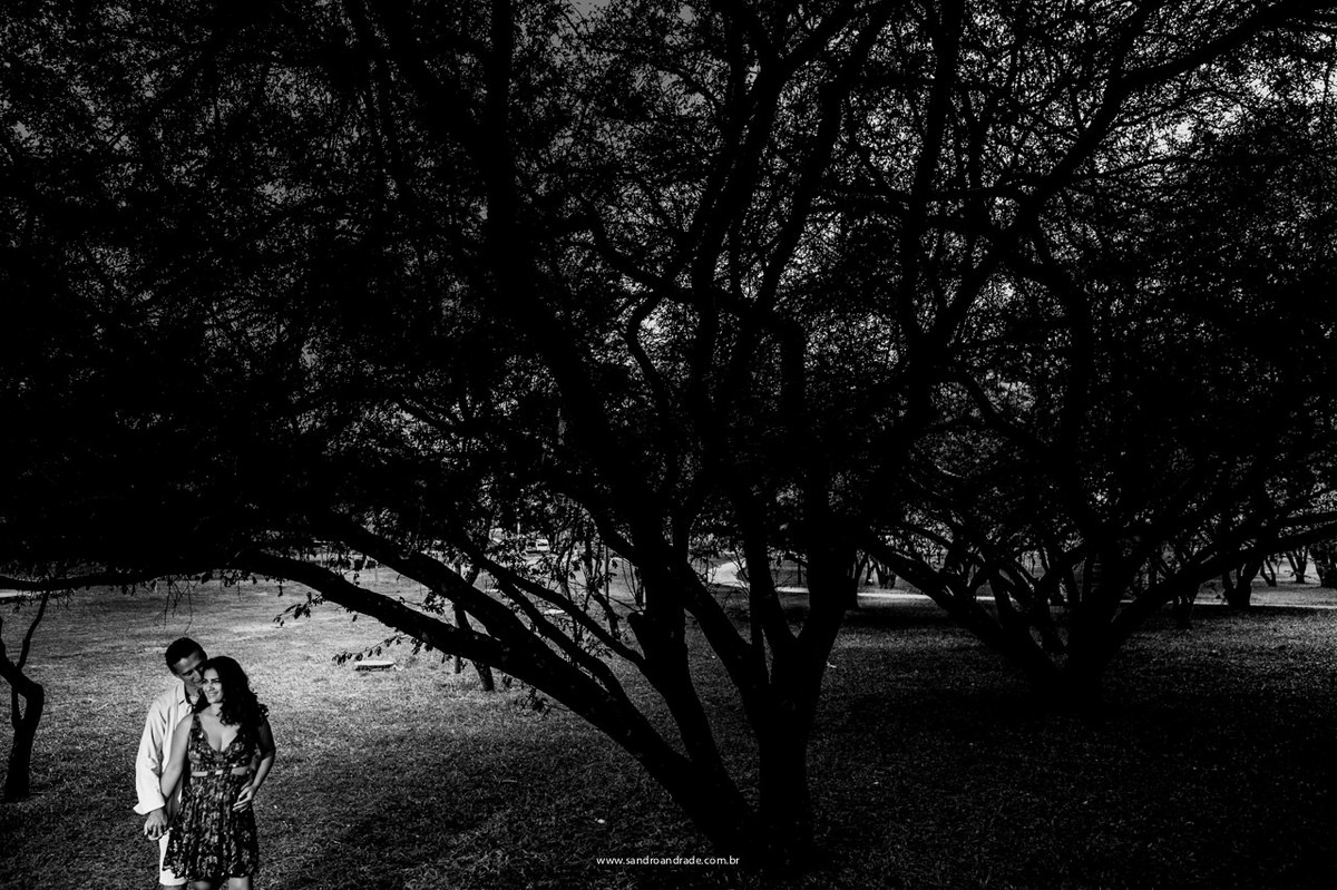 Apenas arvores no plano piloto, uma visão diferenciada do fotografo Sandro Andrade