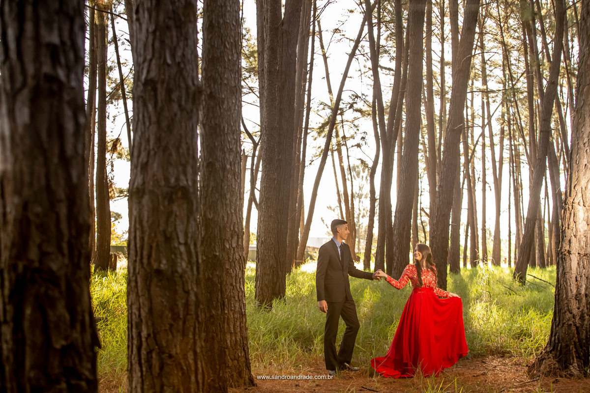 Em meio aos pinheiros, a noiva anda puxando seu noivo, a poucos dias do casamento e Sandro Andrade será o  fotografo, profissional em Brasilia - BSB -DF.