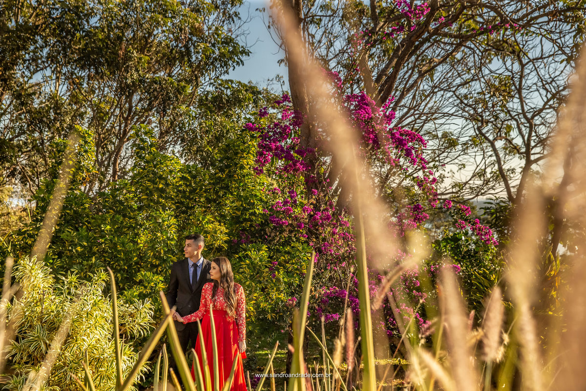 No meio do jardim, uma fotografia minimalista, o casal ao fundo e muito verde. 
