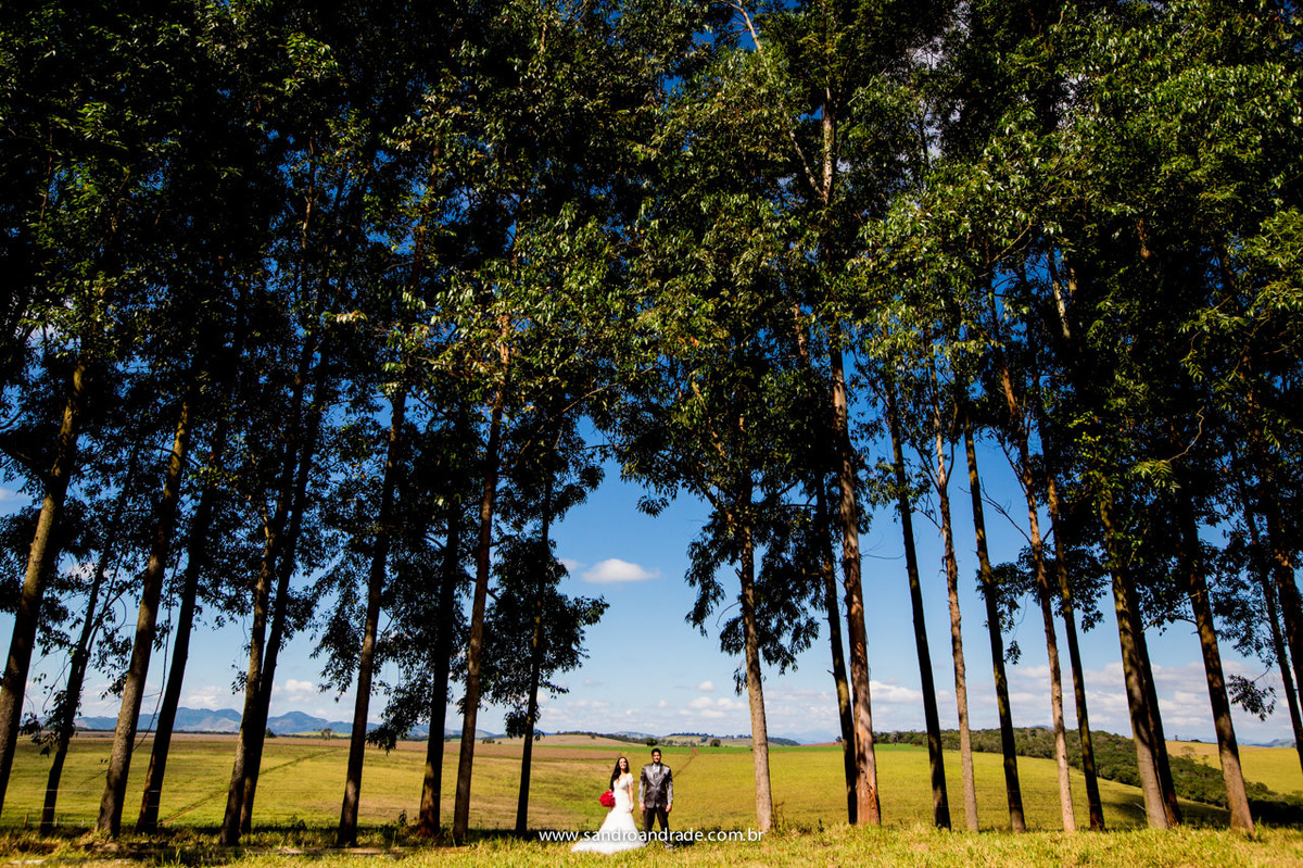 Um casal apaixonado e muitas arvores, apenas um caminho para seguirem juntos