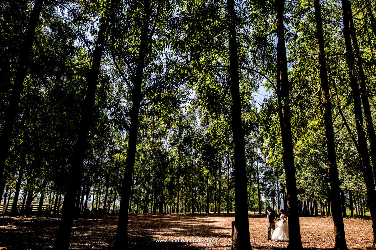 Mãos dadas, juntos seguiremos