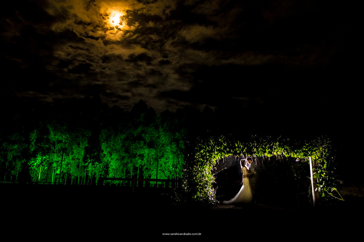 Os noivos sob o luar
