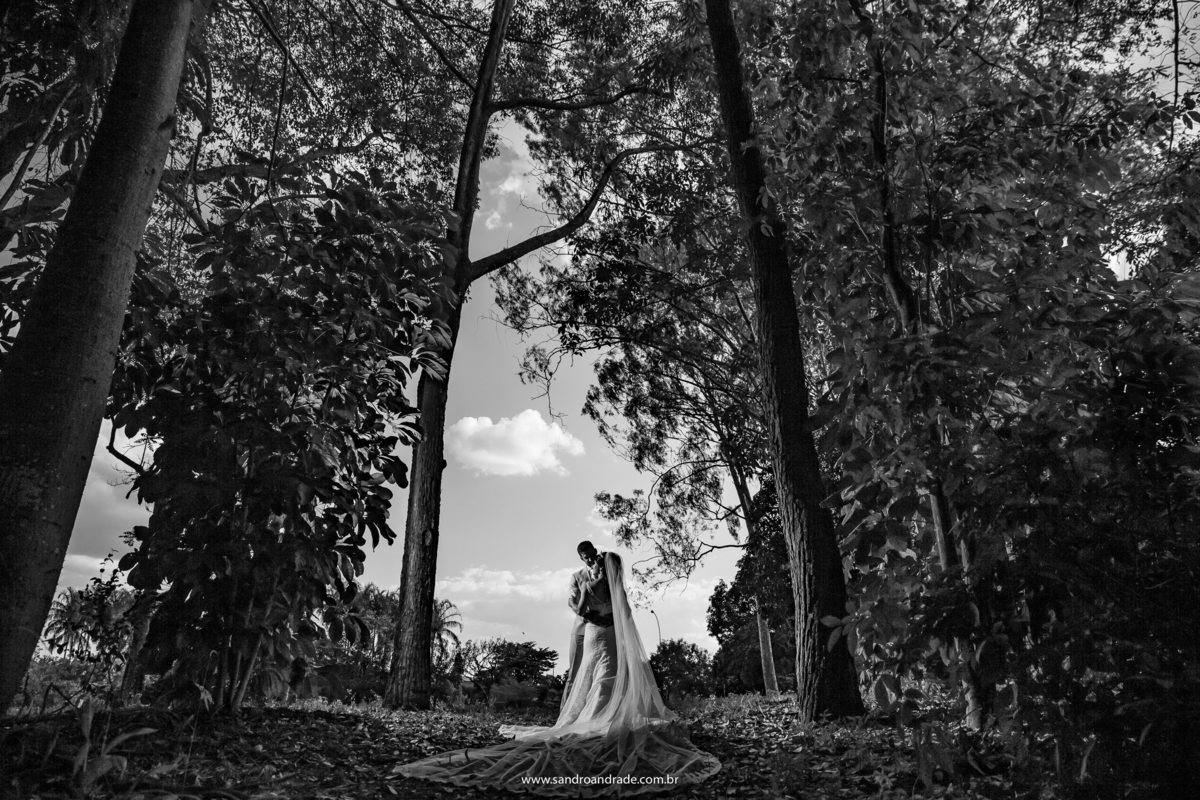 De costas para Sandro Andrade(nosso artista)Luiza, Michell de frente para sua noiva, com uma linda troca de olhar, uma fotografia preto e branca, mostrando a copa das árvores e o céu de fundo. 