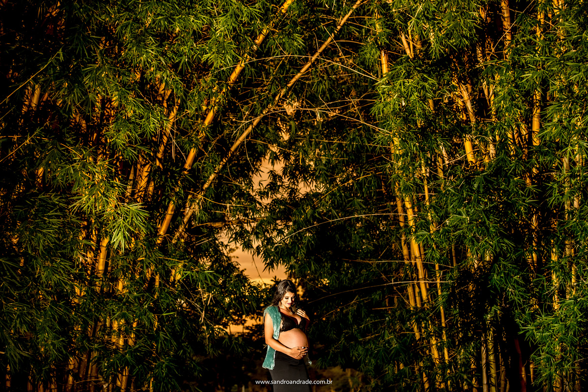 Em meio aos bambus Raniele olha para seu lindo barrigão, com um belíssimo por do sol de fundo. Fotografia minimalista.
