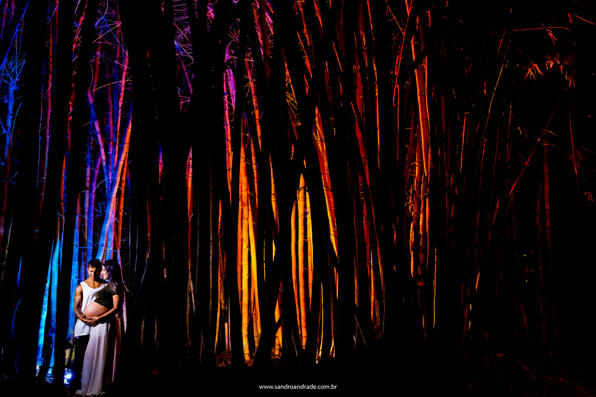 Com o mesmo posicionamento da foto anterior, porem mais pertinho e muita cor, bambus coloridos em tons de azul, rosa, roxo, amarelo e laranja.