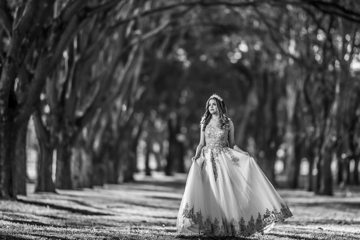 Caminhando entre as árvores, ela vem cheia de graça e toda linda, fotografia feita num bosque da asa sul, Brasília e seus encantos.