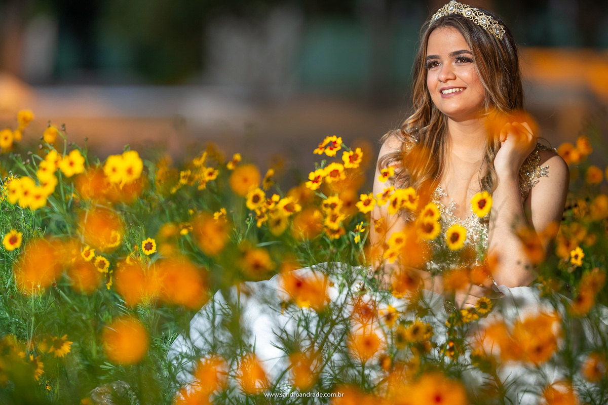 Os canteiros de Brasilia é outra coisa que amoooo neste lugar e claro não podia faltas nas fotos da minha princesa. Entre as pequeninas flores amarelas e com o meio vermelho, o canteiro na frente de um dos ministérios, Amanda sorri.