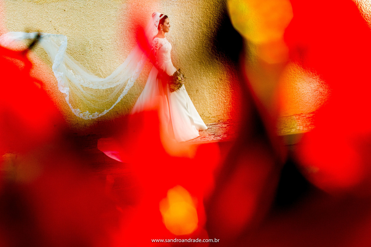 Uooou...Taísa mais uma vez emoldurada, mas desta vez por flores vermelhas, la ao fundo ela está caminhando com o véu voando.