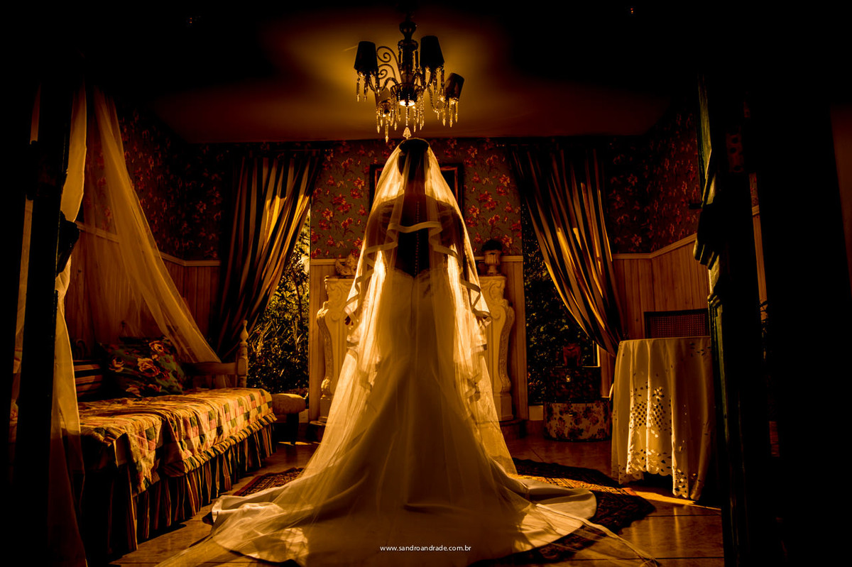 fotografia de casamento com detalhes do vestido de noiva, costas e veu