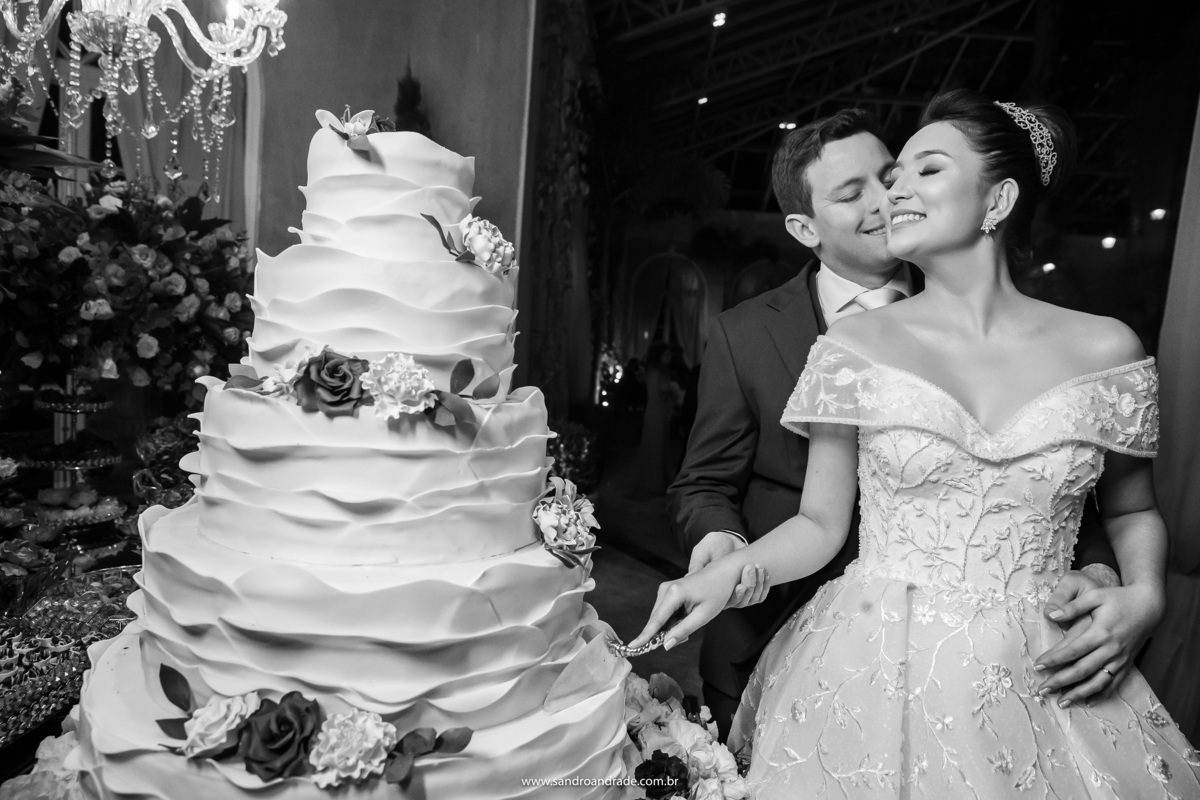 Um preto e branco magnifico, de um lindo retrato do corte do bolo, com uma mistura de beijo.