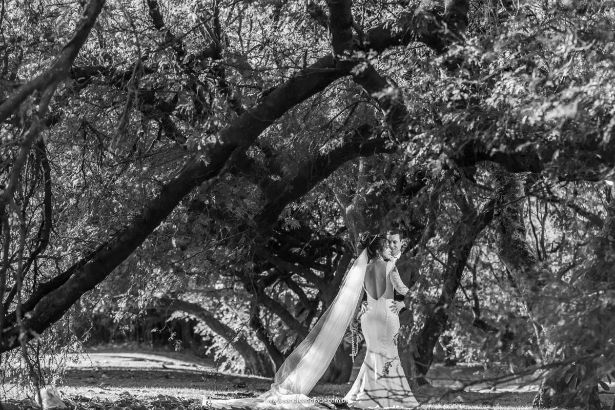 Uma fotografia minimalista do casal em baixo do panteão da pátria no meio das árvores, Mayara está de costas com o vestido e véu arrumados e o noivo apaixonado de frente para ela, admirando a beleza de seu grande amor.