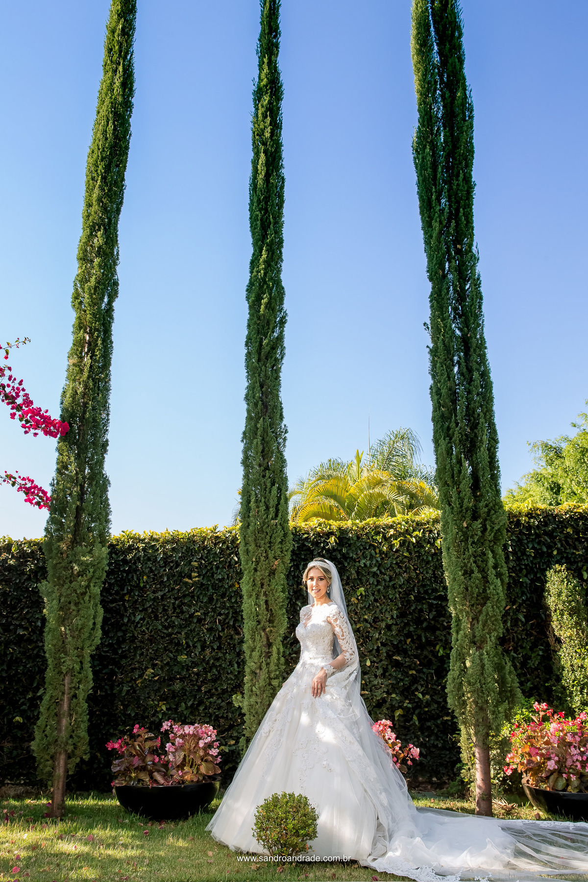 Uma fotografia na vertical, a noiva com toda sua timidez, está ao lado dos pinheiros e seu vestido com a cauda e o véu para trás.