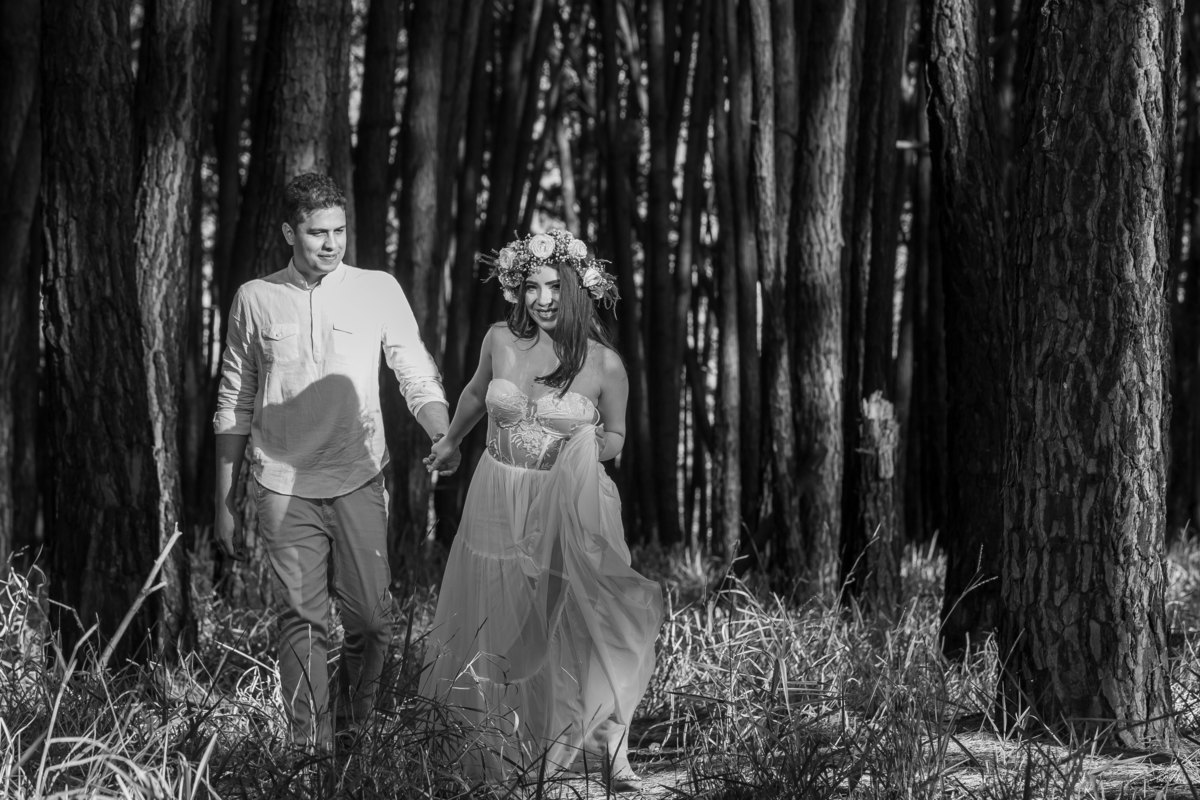 Caminhando entre os pinheiros, ela puxa ele pela mão, uma foto pb paixão de muitos fotógrafos e amantes da fotografia.