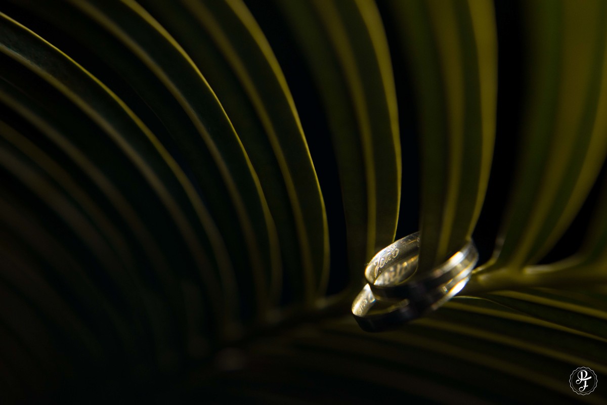 hipica-casamento-talita-e-joao-paulo-realizado-em-guaratingueta-e-fotografado-por-paula-freitas-fotografia