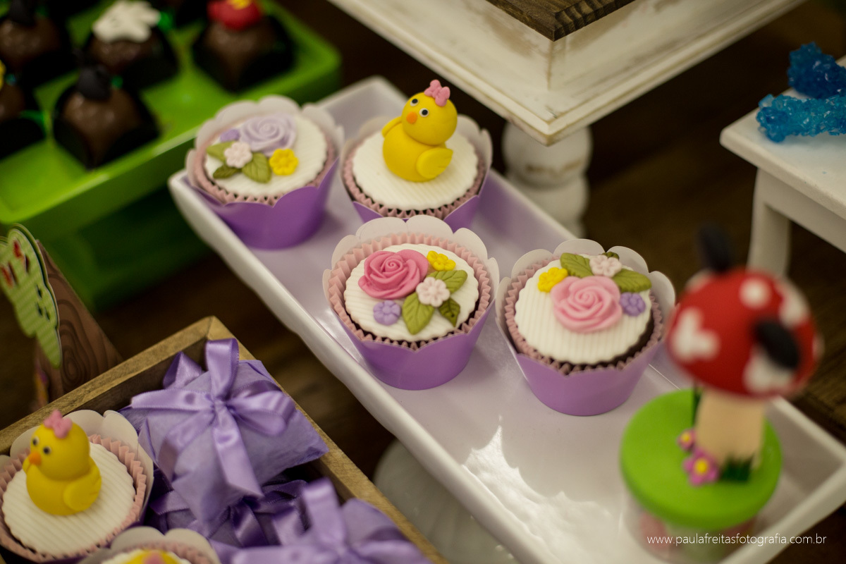 aniversario infantil com tema de mickey e minnie pluto margarida pato donald em taubate decorado por uniduniet fotografado por paula freitas fotografia e buffet mega park buffet