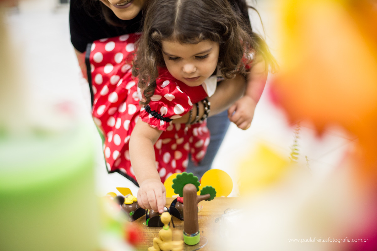 aniversario infantil em taubate decorado por uniduniet fotografado por paula freitas fotografia e buffet mega park buffet