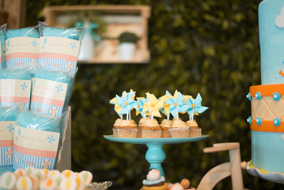 aniversario-infantil-em-guaratingueta-fotografado-por-paula-freitas-fotografia