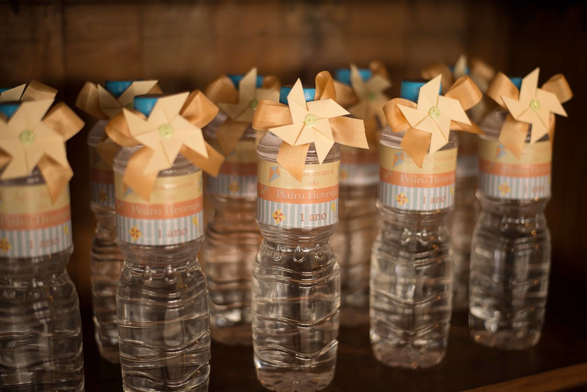 aniversario-infantil-em-guaratingueta-fotografado-por-paula-freitas-fotografia