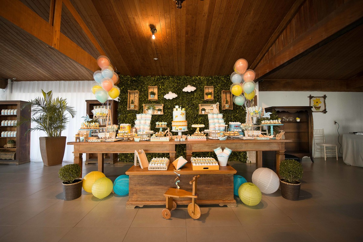 aniversario-infantil-em-guaratingueta-fotografado-por-paula-freitas-fotografia