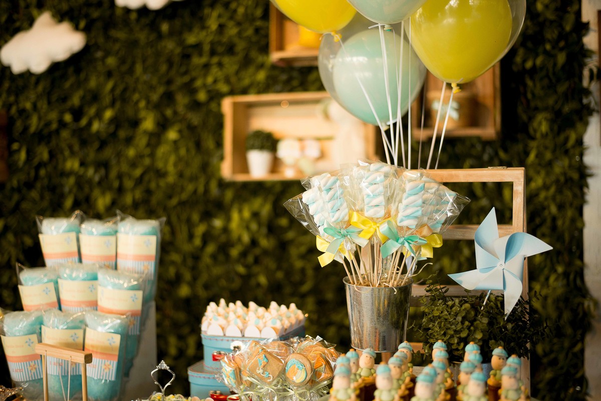 aniversario-infantil-em-guaratingueta-fotografado-por-paula-freitas-fotografia