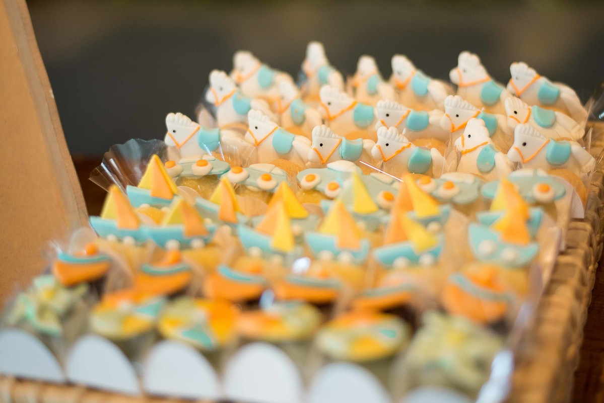 aniversario-infantil-em-guaratingueta-fotografado-por-paula-freitas-fotografia