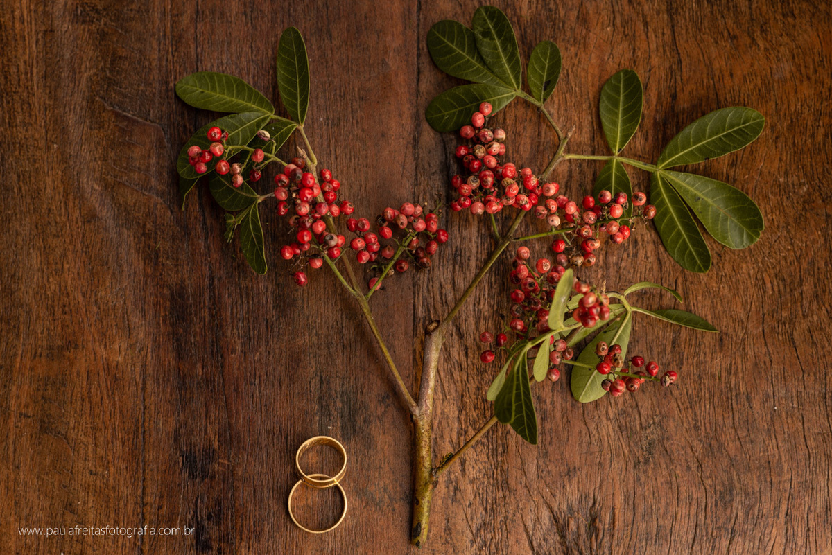  alianca dos noivos casamento no recanto do bosque em guaratingueta e fotografado por paula freitas fotografia