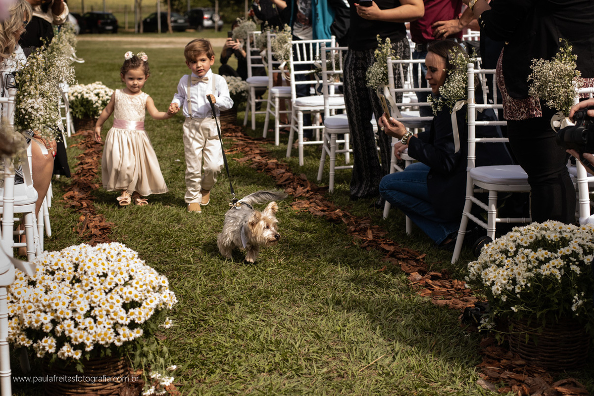 entrada da aliança com cachorro em casamento ao ar livre no recanto do bosque em guaratingueta por paula freitas fotografia