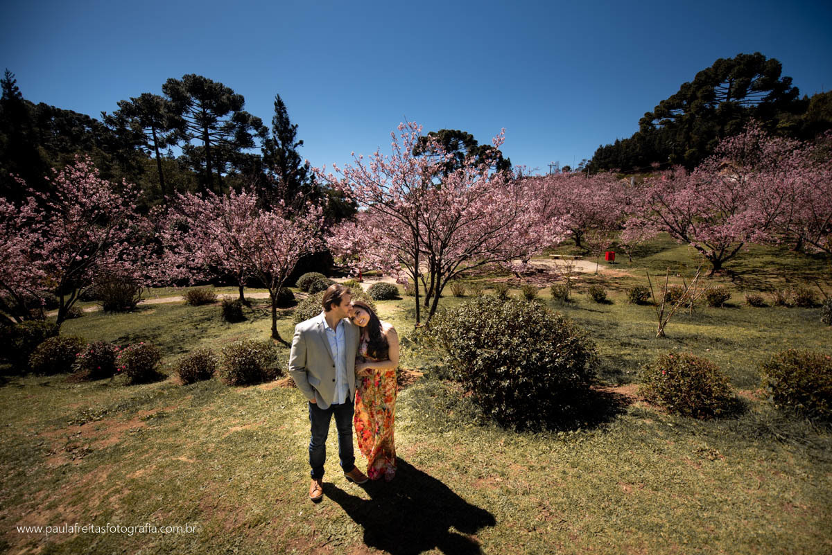 ensaio de casal feito no parque das cerejeiras em campos do jordao