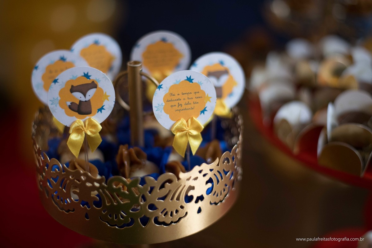 casa-rosa-guaratingueta-sp-aniversario-infantil-do-pequeno-principe-davi-dixon-fotografado-por-paula-freitas-fotografia-e-video-por-supimpa-audiovisual-6