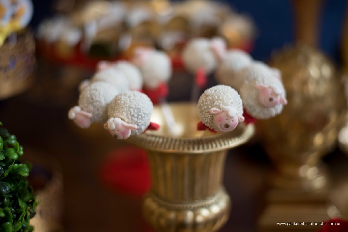 casa-rosa-guaratingueta-sp-aniversario-infantil-do-pequeno-principe-davi-dixon-fotografado-por-paula-freitas-fotografia-e-video-por-supimpa-audiovisual-6