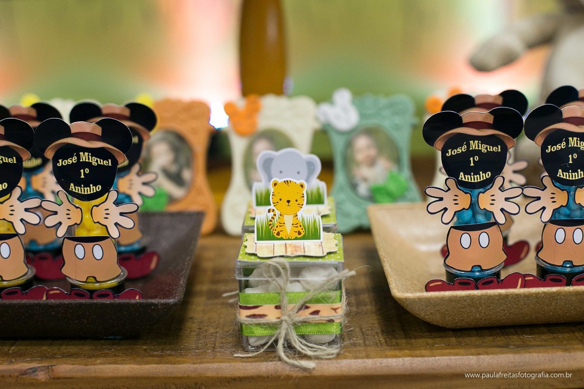 fabrica-de-sonhos-em-guaratingueta-aniversario-de-1-ano-safari-do-mickey-fotografia-paula-freitas-fotografia