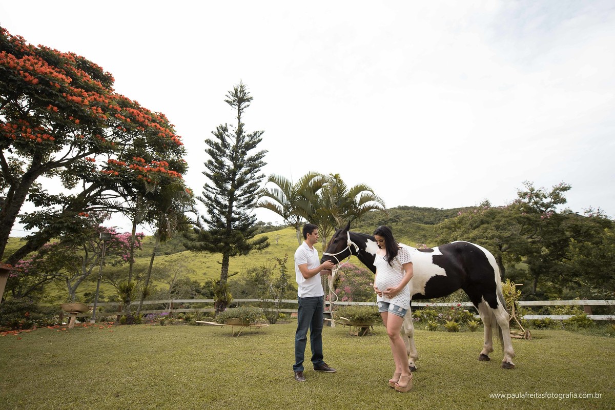 ensaio de gestante, foto de gestante feito na roça em guaratingueta. ensaio de gestante com cavalo.  foto com cavalo feito em ensaio gestante