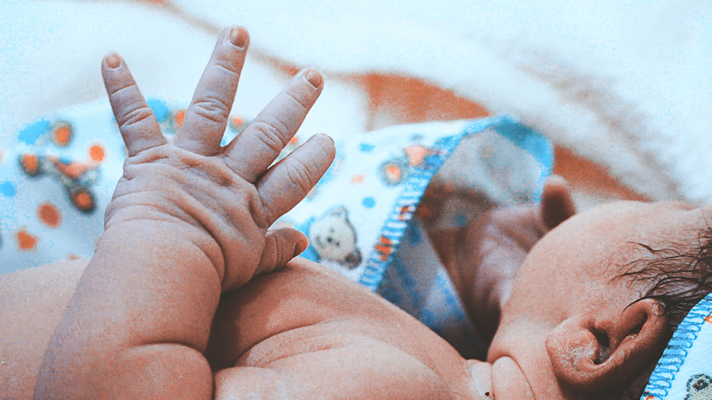 Vitória Scanegatta Vicari nasceu no 03 de Março de 2020 no Hospital de Caridade de Erechim. Fotografo de nascimento Vitor Trombetta