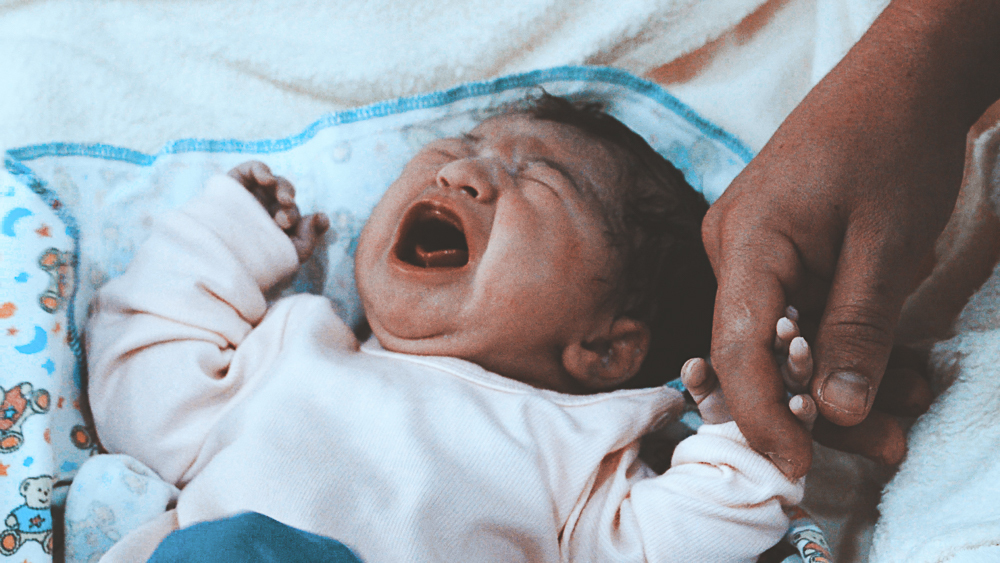 Vitória Scanegatta Vicari nasceu no 03 de Março de 2020 no Hospital de Caridade de Erechim. Fotografo de nascimento Vitor Trombetta