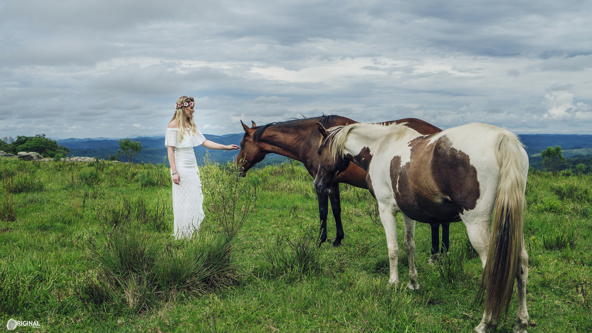 noiva no campo, com cavalos, cavalos