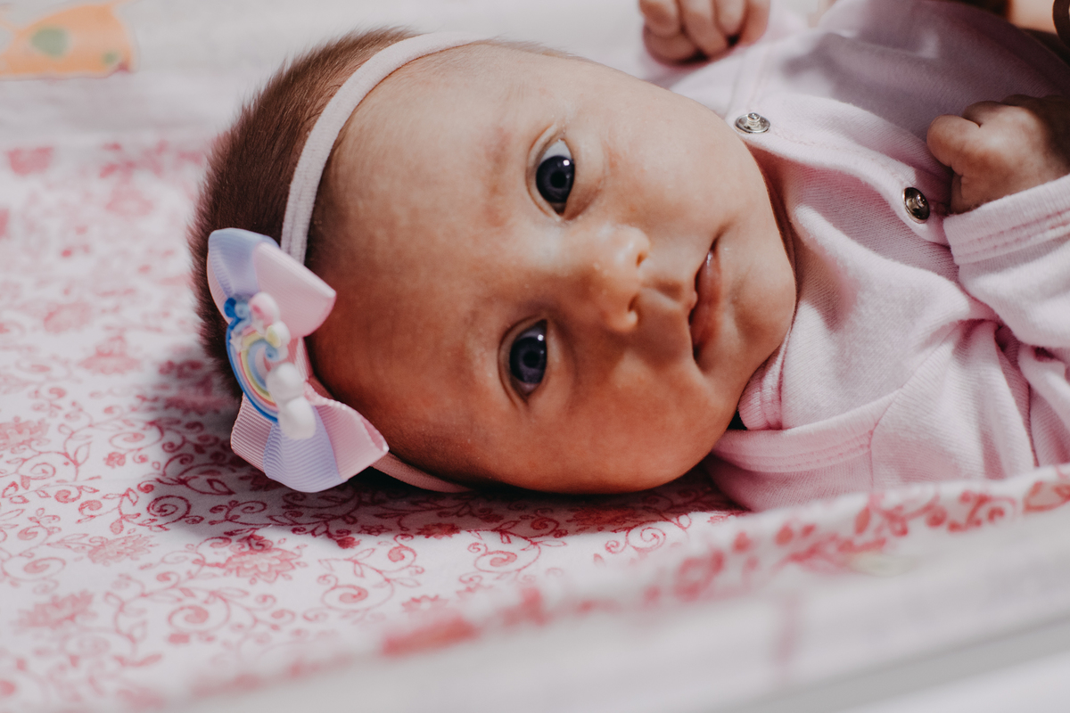 Ensaio Gestante; Mãe de Menina; Fotografia gestante; Fotografia gestante São Leopoldo; Fotografia gestante; Fotografia de família; São Leopoldo; Fotografia com animais; Ensaio de família; Gravidez; Grêmio;