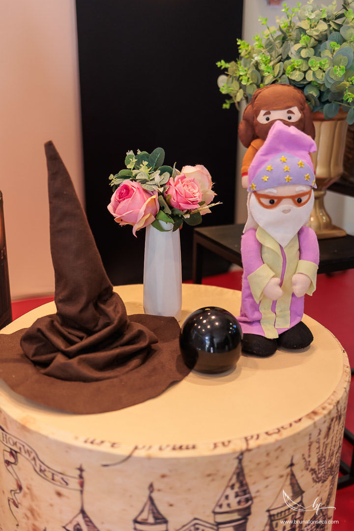 Aniversário infantil; Mig Eventos; Aniversário de criança; Fotografia infantil; Fotografia de família; São Leopoldo;  Casa de festa de são leopoldo; Fotografo infantil são leopoldo; Festança Kids; Fotografo de Canoas; Festejar; ForKids;