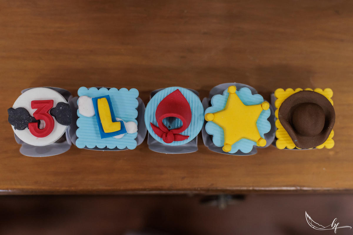 Aniversário infantil; Mig Eventos; Aniversário de criança; Fotografia infantil; Fotografia de família; São Leopoldo;  Casa de festa de são leopoldo; Fotografo infantil são leopoldo; Festança Kids; Fotografo de Canoas; Festejar; ForKids;