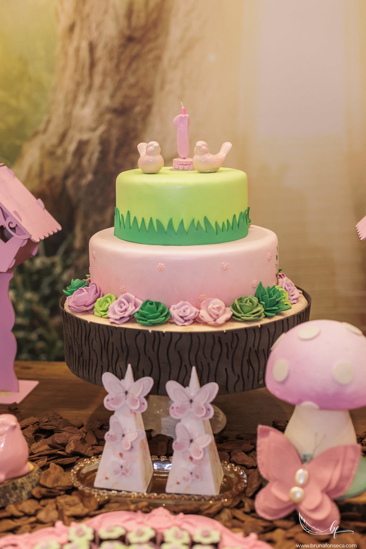 Aniversário infantil; Mig Eventos; Aniversário de criança; Fotografia infantil; Fotografia de família; São Leopoldo;  Casa de festa de são leopoldo; Fotografo infantil são leopoldo; Festança Kids; Fotografo de Canoas; Festejar; ForKids;