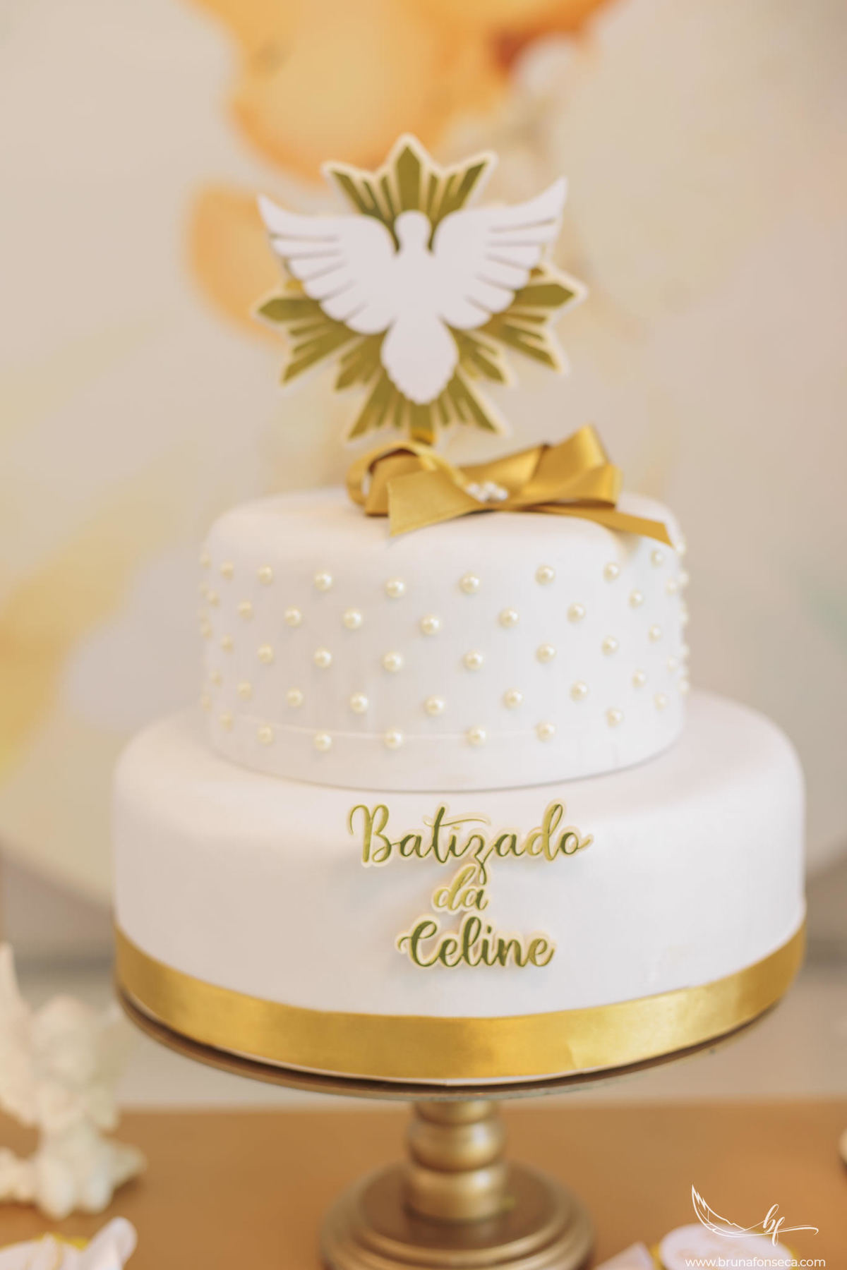 Paroquia Santa Catarina; Fotografia de Família; Nova Petrópolis; São Leopoldo; Novo Hamburgo; Dois Irmãos; Ivoti; Esteio; Fotografo de Batizado; Fotografia de Batizado; Batizado; Catedral Basílica São Luiz Gonzaga; Paroquia São Jose Operário;