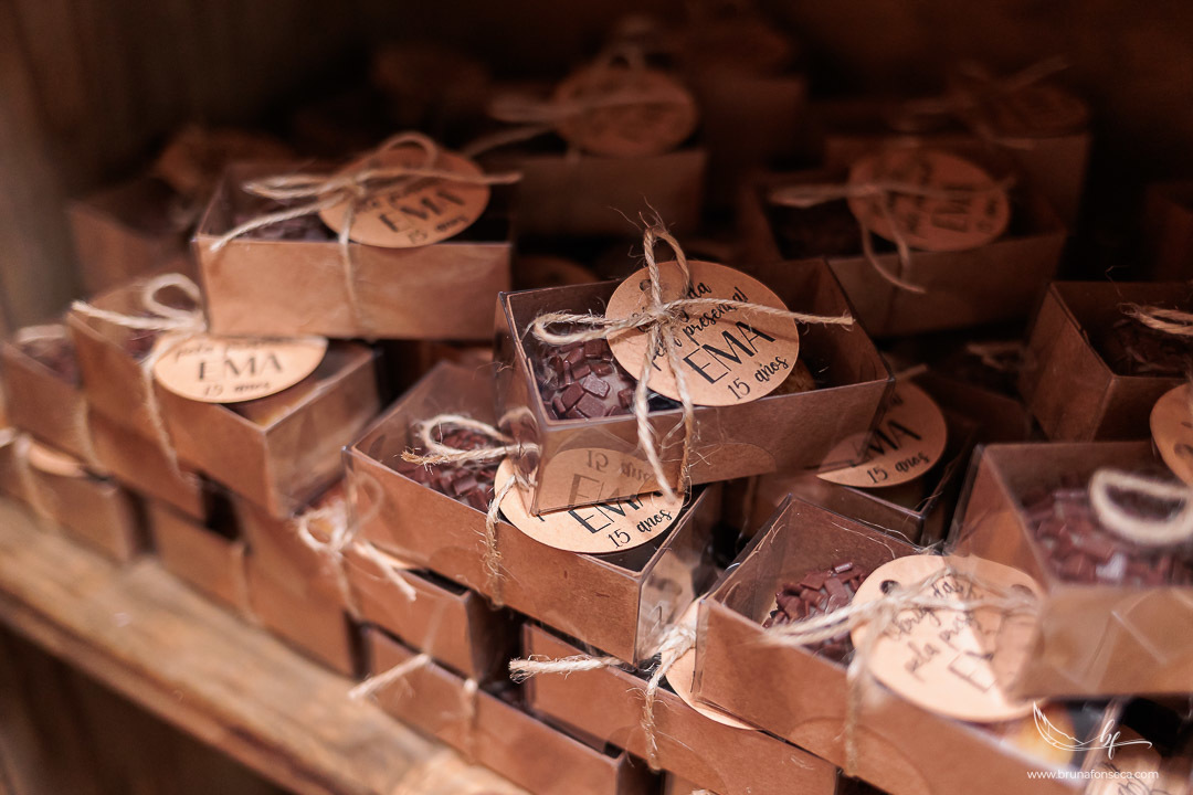 Recanto Bueno; Celina Munhoz; Novo Hamburgo; Nova Petropolis; Ensaio Teen; Ensaio 15th; 15 anos; Fotografo de 15 Anos; Debutante; Adriana Krieger; Manu Garcia; Porto Alegre; Fleck Eventos; Mig Eventos; For Kids; Ivoti;