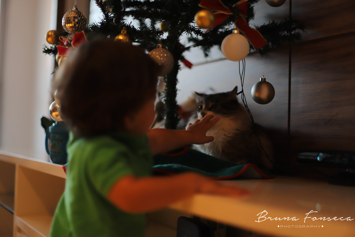 Aquarelando; Fotografia Infantil; Fotografo de criança; Fotografia infantil são leopoldo; Fotografia infantil novo hamburgo; Fotografia infantil belo horizonte;