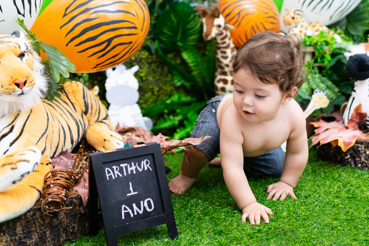 Ensaio Smash The Cake Safari em Osasco do Arthur