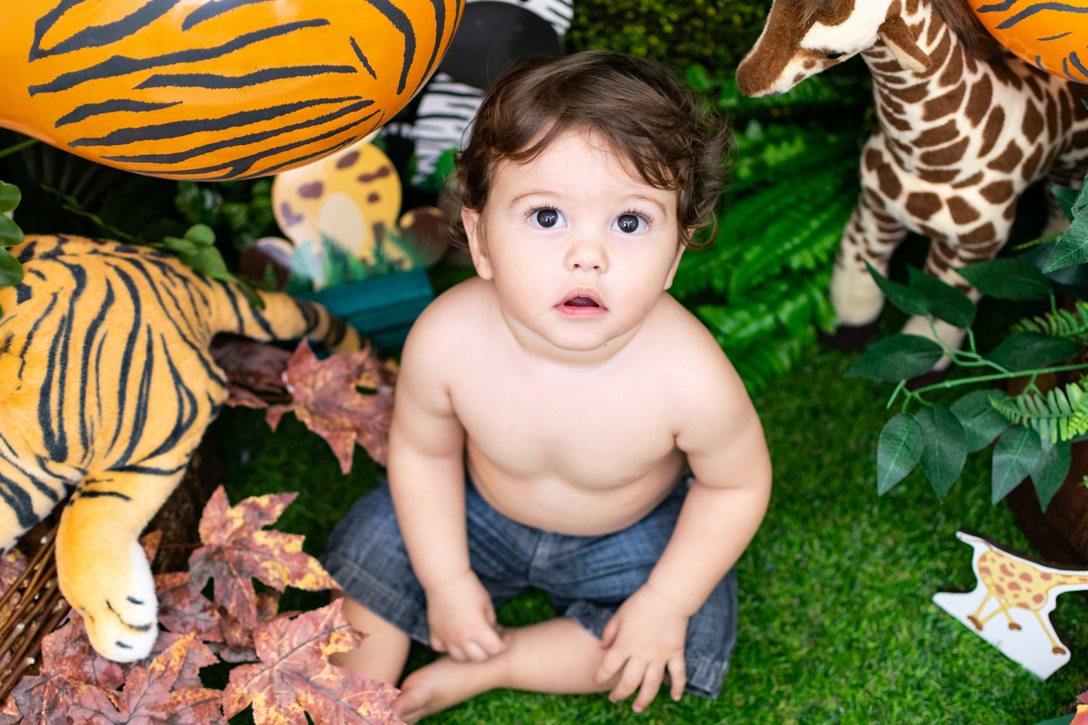 Ensaio Smash The Cake Safari em Osasco do Arthur