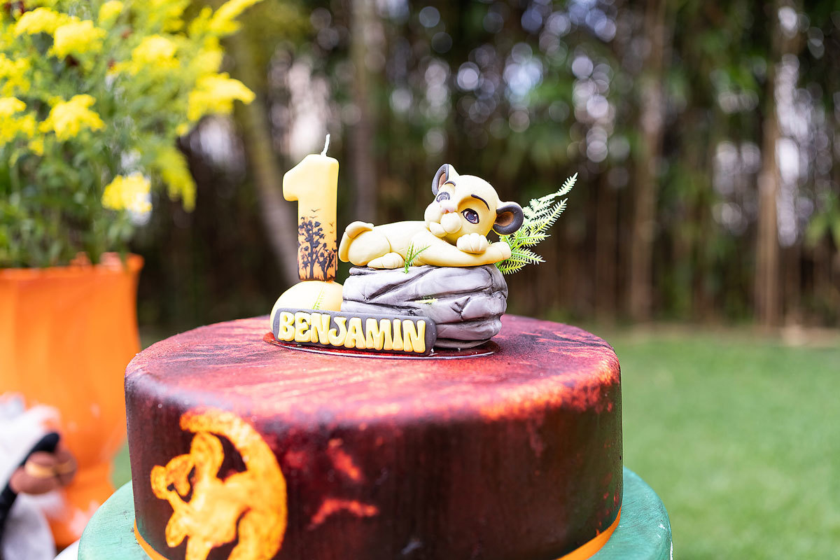 Ensaio de aniversário de 1 ano em Osasco do Benjamin