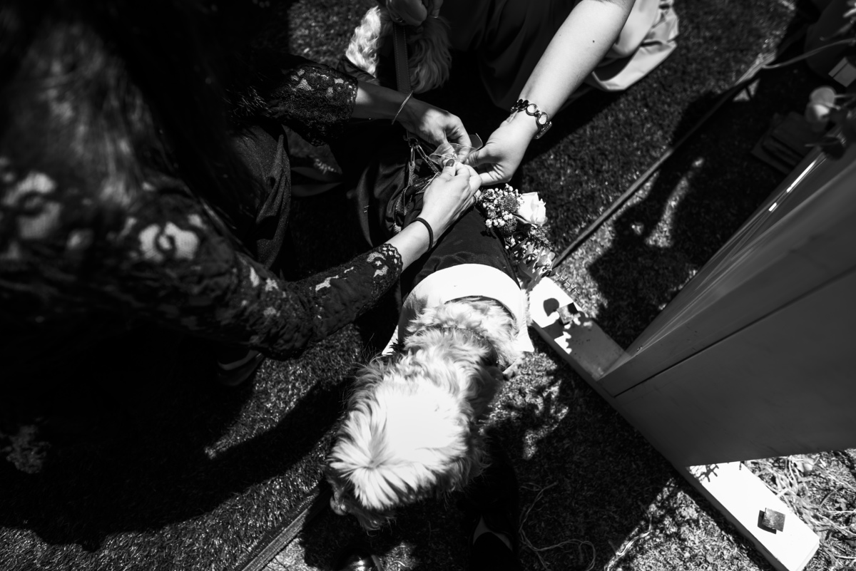 Fotografo de bodas La Paz Bolivia, Boda de dia, boda de jardin , boda rockera