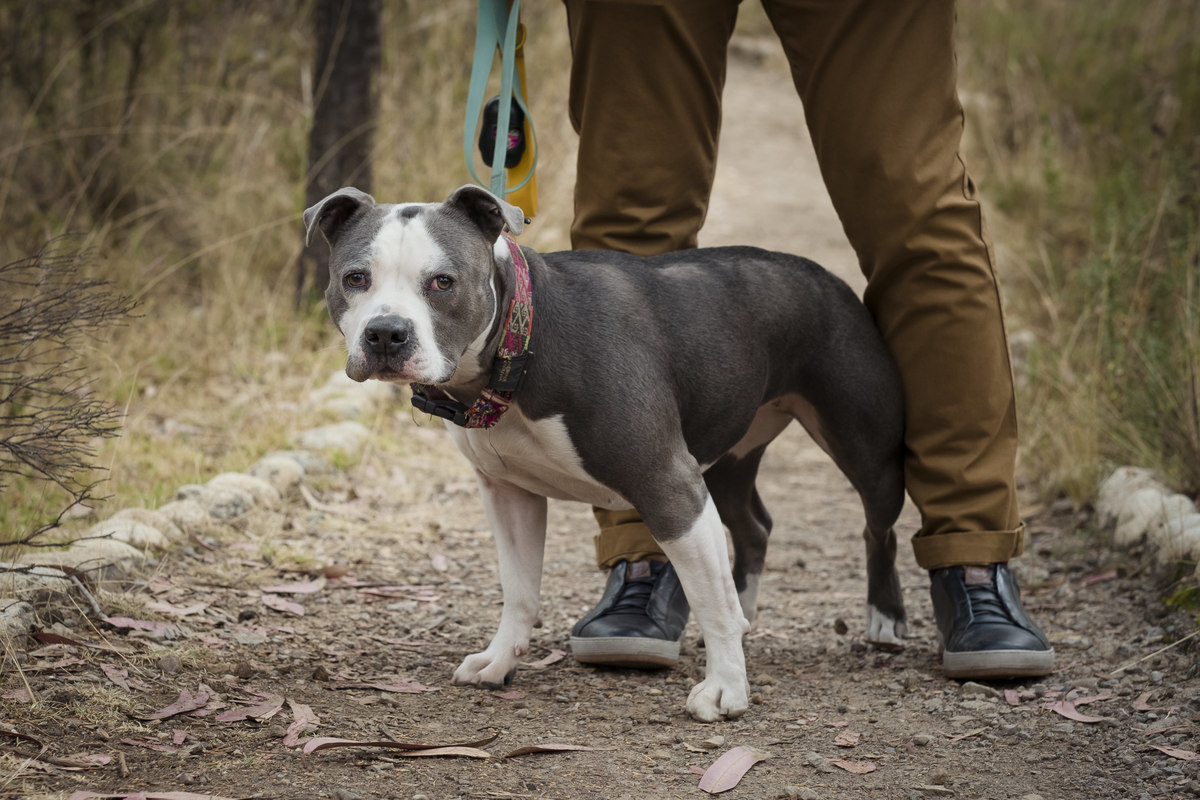 Fotografia de familias la paz bolivia, fotografo de familias, familia boliviana, bosque de auquisamaña 