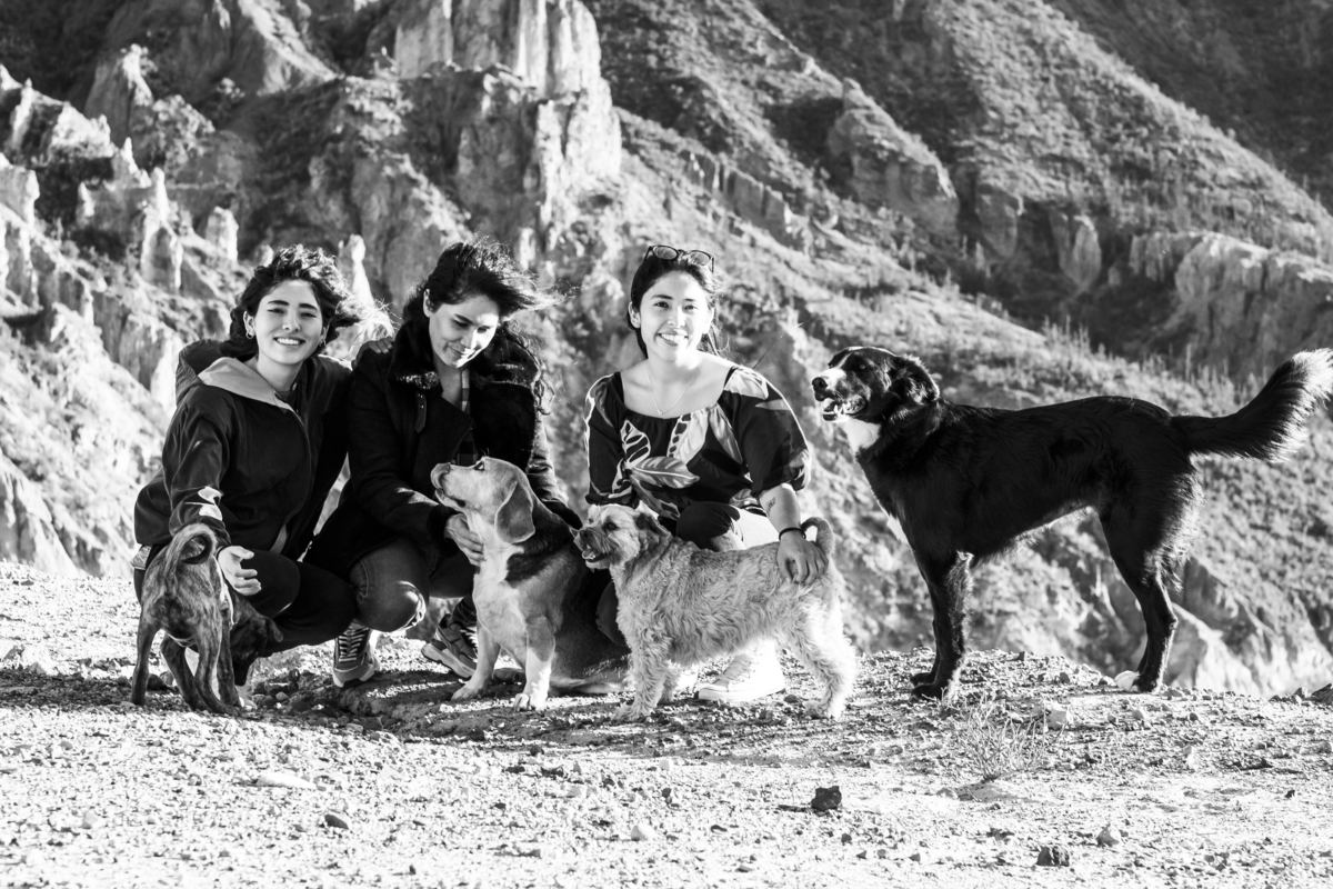 sesion de mascotas la paz , pkl fotografia, fotografia de familias, fotografia de mascotas la paz bolivia 